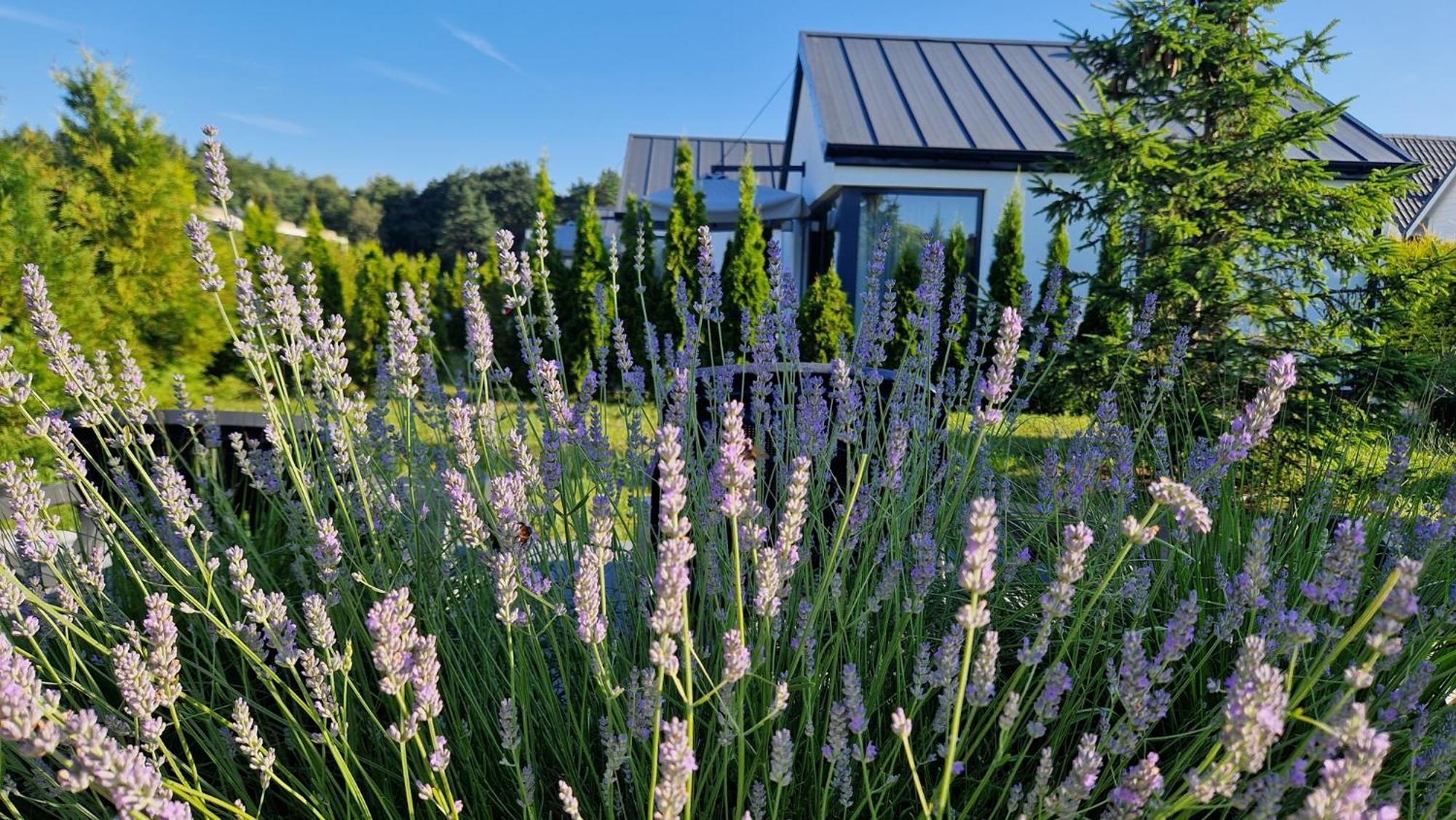 5 Zmyslow Akademia Wypoczynku Pokoje Zieleniewo  Exterior foto